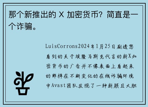 那个新推出的 X 加密货币？简直是一个诈骗。